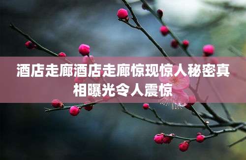 酒店走廊酒店走廊惊现惊人秘密真相曝光令人震惊