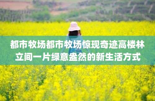 都市牧场都市牧场惊现奇迹高楼林立间一片绿意盎然的新生活方式