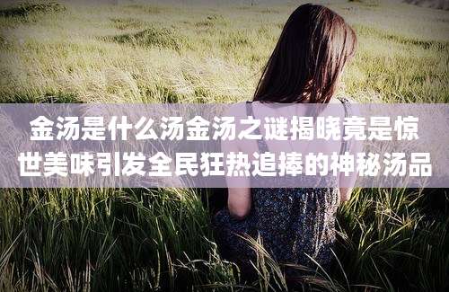 金汤是什么汤金汤之谜揭晓竟是惊世美味引发全民狂热追捧的神秘汤品