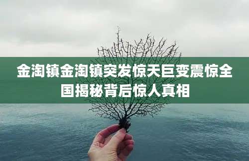 金淘镇金淘镇突发惊天巨变震惊全国揭秘背后惊人真相