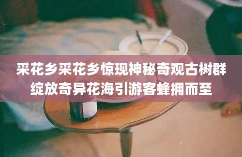 采花乡采花乡惊现神秘奇观古树群绽放奇异花海引游客蜂拥而至