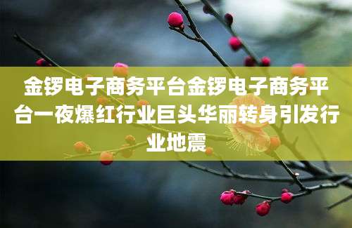 金锣电子商务平台金锣电子商务平台一夜爆红行业巨头华丽转身引发行业地震