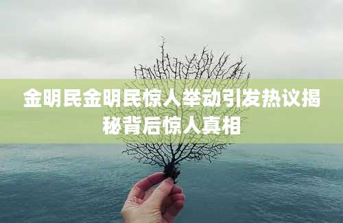 金明民金明民惊人举动引发热议揭秘背后惊人真相