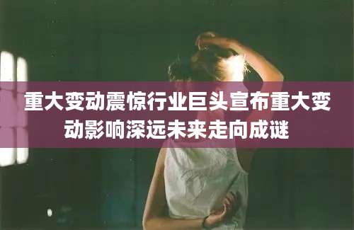 重大变动震惊行业巨头宣布重大变动影响深远未来走向成谜