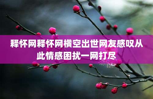 释怀网释怀网横空出世网友感叹从此情感困扰一网打尽