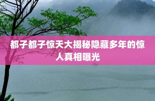 都子都子惊天大揭秘隐藏多年的惊人真相曝光