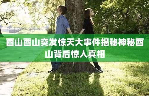酉山酉山突发惊天大事件揭秘神秘酉山背后惊人真相