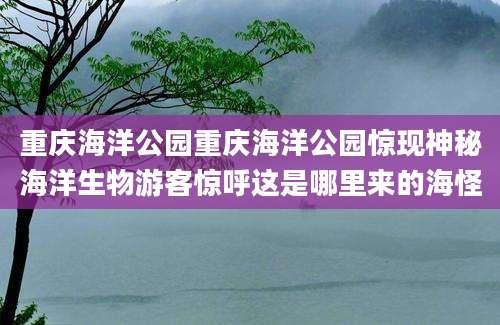 重庆海洋公园重庆海洋公园惊现神秘海洋生物游客惊呼这是哪里来的海怪