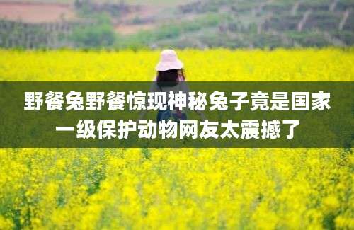 野餐兔野餐惊现神秘兔子竟是国家一级保护动物网友太震撼了