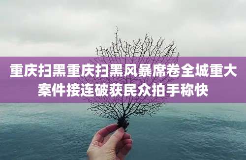 重庆扫黑重庆扫黑风暴席卷全城重大案件接连破获民众拍手称快