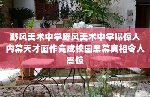 野风美术中学野风美术中学曝惊人内幕天才画作竟成校园黑幕真相令人震惊