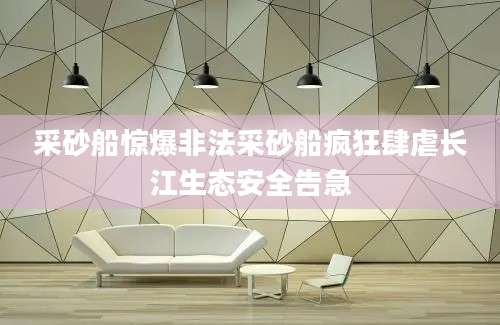 采砂船惊爆非法采砂船疯狂肆虐长江生态安全告急
