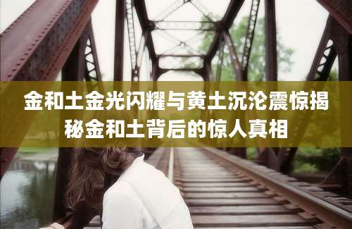 金和土金光闪耀与黄土沉沦震惊揭秘金和土背后的惊人真相
