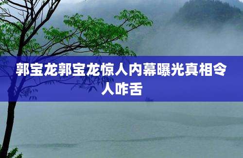 郭宝龙郭宝龙惊人内幕曝光真相令人咋舌