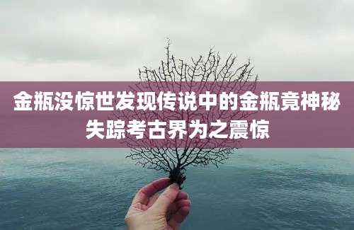 金瓶没惊世发现传说中的金瓶竟神秘失踪考古界为之震惊