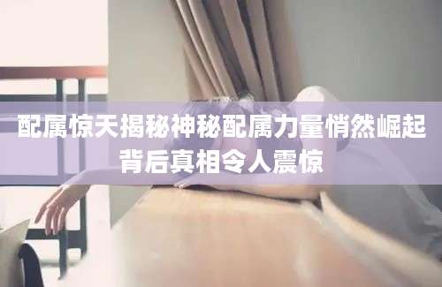 配属惊天揭秘神秘配属力量悄然崛起背后真相令人震惊