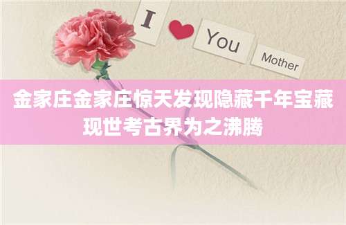 金家庄金家庄惊天发现隐藏千年宝藏现世考古界为之沸腾