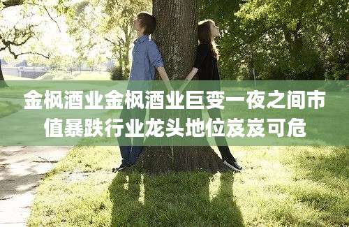 金枫酒业金枫酒业巨变一夜之间市值暴跌行业龙头地位岌岌可危