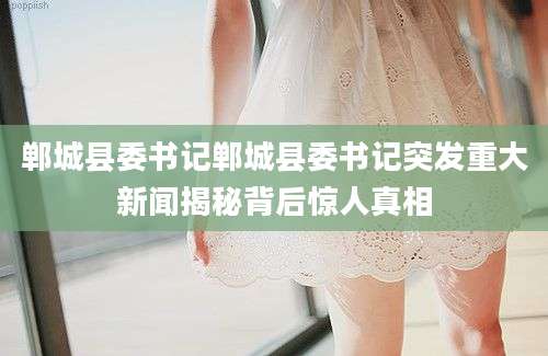 郸城县委书记郸城县委书记突发重大新闻揭秘背后惊人真相