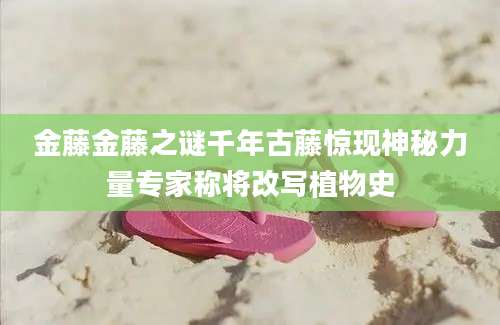 金藤金藤之谜千年古藤惊现神秘力量专家称将改写植物史