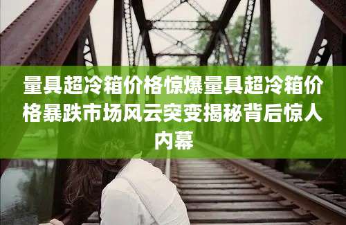 量具超冷箱价格惊爆量具超冷箱价格暴跌市场风云突变揭秘背后惊人内幕