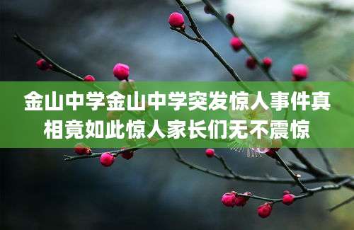 金山中学金山中学突发惊人事件真相竟如此惊人家长们无不震惊