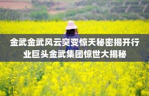 金武金武风云突变惊天秘密揭开行业巨头金武集团惊世大揭秘