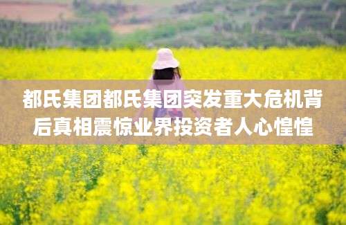 都氏集团都氏集团突发重大危机背后真相震惊业界投资者人心惶惶