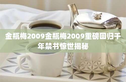 金瓶梅2009金瓶梅2009重磅回归千年禁书惊世揭秘