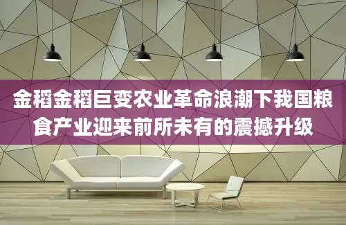 金稻金稻巨变农业革命浪潮下我国粮食产业迎来前所未有的震撼升级