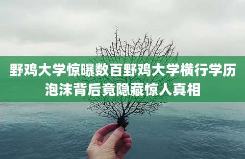 野鸡大学惊曝数百野鸡大学横行学历泡沫背后竟隐藏惊人真相
