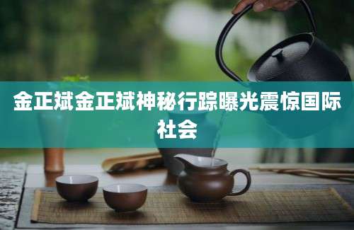 金正斌金正斌神秘行踪曝光震惊国际社会