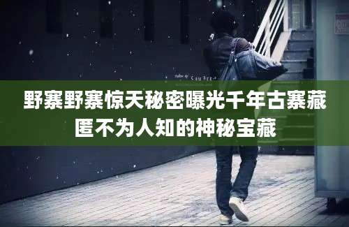 野寨野寨惊天秘密曝光千年古寨藏匿不为人知的神秘宝藏