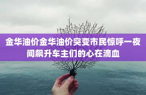 金华油价金华油价突变市民惊呼一夜间飙升车主们的心在滴血