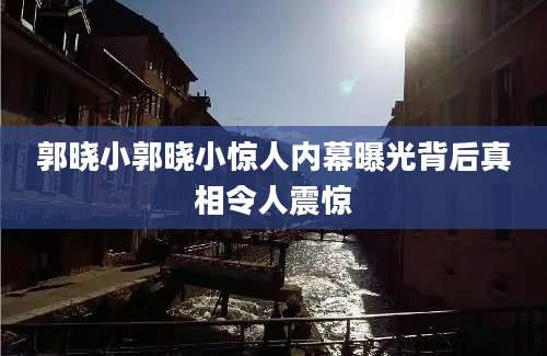 郭晓小郭晓小惊人内幕曝光背后真相令人震惊