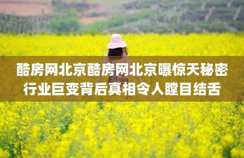 酷房网北京酷房网北京曝惊天秘密行业巨变背后真相令人瞠目结舌
