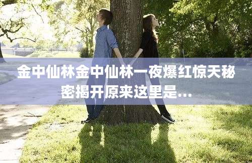 金中仙林金中仙林一夜爆红惊天秘密揭开原来这里是...