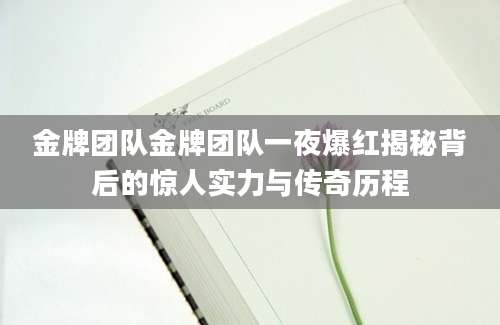 金牌团队金牌团队一夜爆红揭秘背后的惊人实力与传奇历程