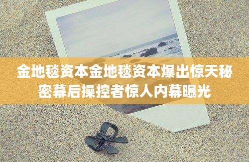 金地毯资本金地毯资本爆出惊天秘密幕后操控者惊人内幕曝光