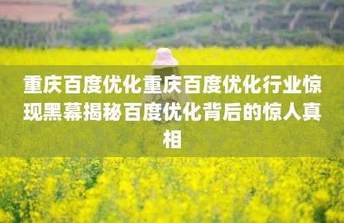 重庆百度优化重庆百度优化行业惊现黑幕揭秘百度优化背后的惊人真相