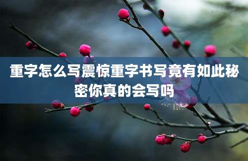 重字怎么写震惊重字书写竟有如此秘密你真的会写吗