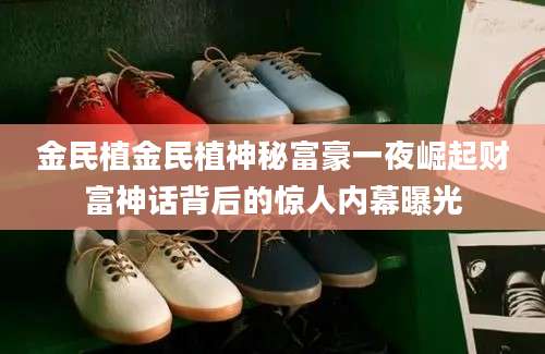 金民植金民植神秘富豪一夜崛起财富神话背后的惊人内幕曝光