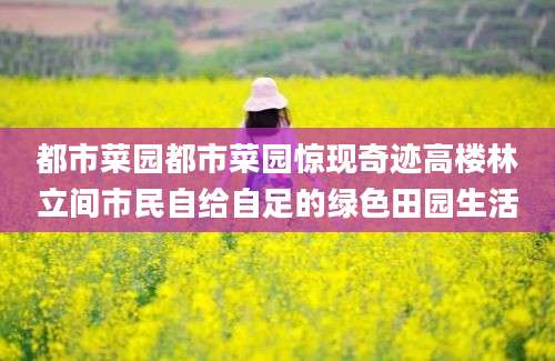都市菜园都市菜园惊现奇迹高楼林立间市民自给自足的绿色田园生活