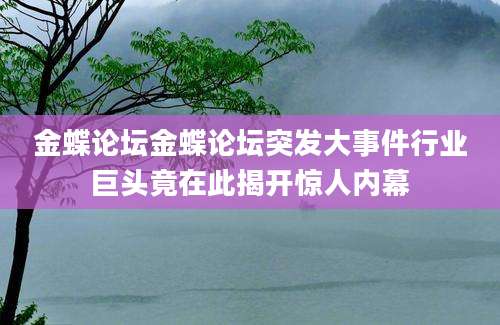 金蝶论坛金蝶论坛突发大事件行业巨头竟在此揭开惊人内幕