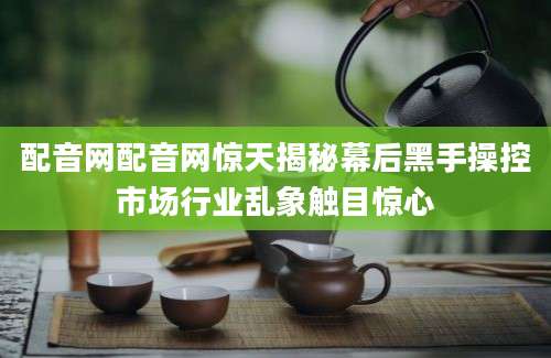 配音网配音网惊天揭秘幕后黑手操控市场行业乱象触目惊心