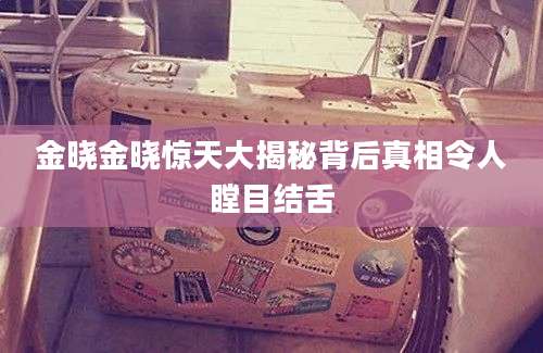 金晓金晓惊天大揭秘背后真相令人瞠目结舌