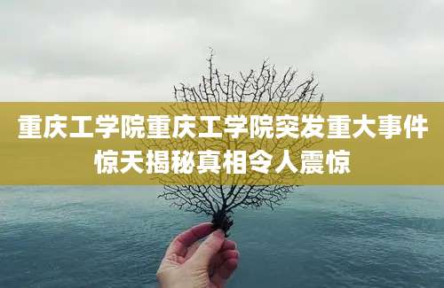 重庆工学院重庆工学院突发重大事件惊天揭秘真相令人震惊