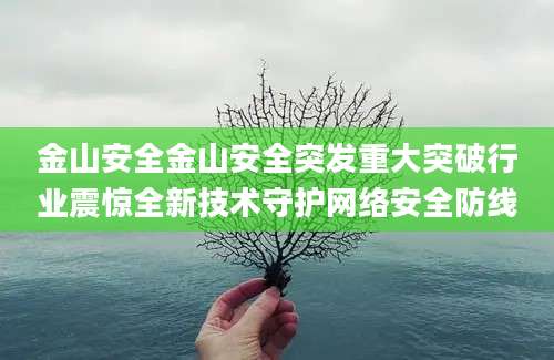 金山安全金山安全突发重大突破行业震惊全新技术守护网络安全防线
