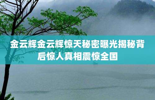 金云辉金云辉惊天秘密曝光揭秘背后惊人真相震惊全国