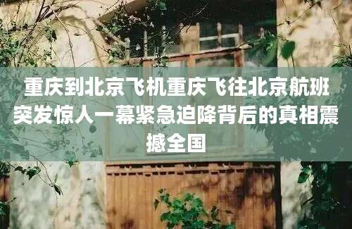 重庆到北京飞机重庆飞往北京航班突发惊人一幕紧急迫降背后的真相震撼全国